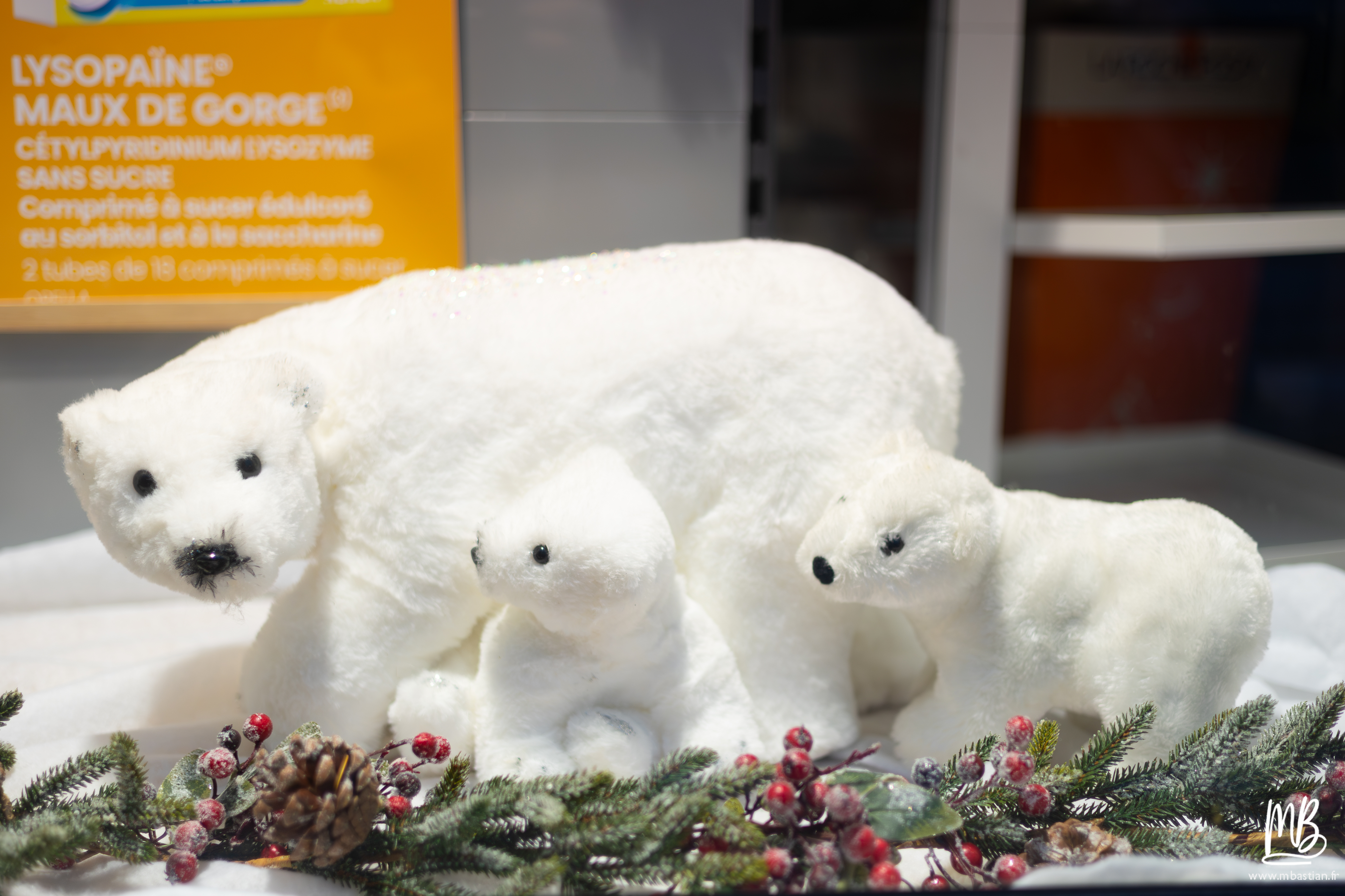 20251121 Noël à Haguenau MB 62